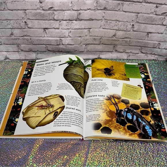 Wonders of Learning: Discover BUGS Hardcover Book - Picture 5 of 10